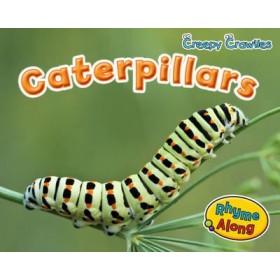 Caterpillars (Early Years: Creepy Crawlies) Hardback